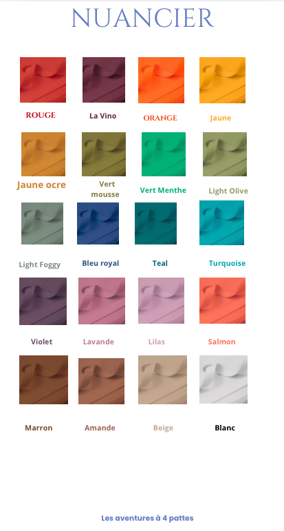 Laisses 160cm ( couleurs exclusives 🌈 )