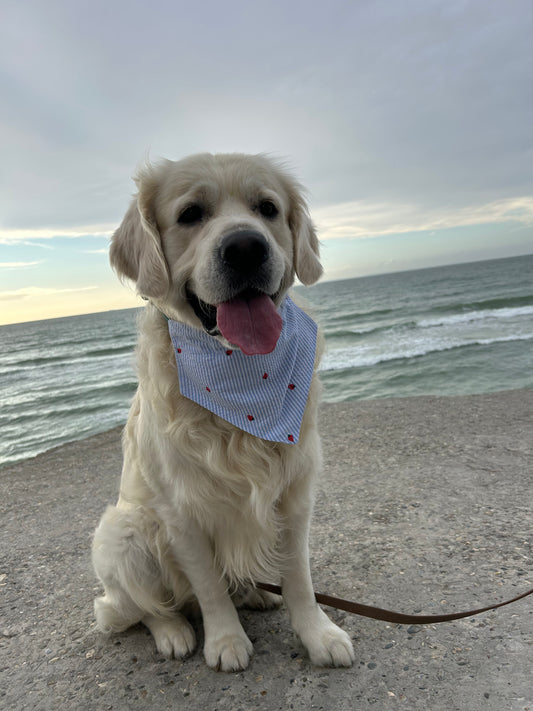 Bandana Fraises 🍓