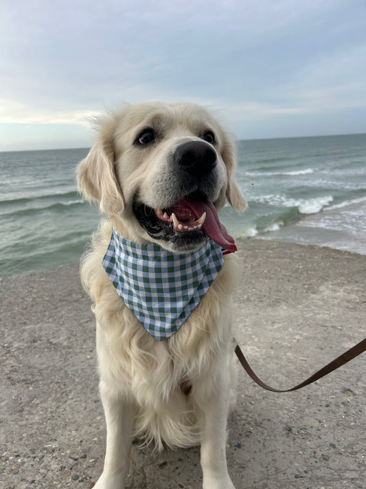 Bandana Vichy Forêt 🍃
