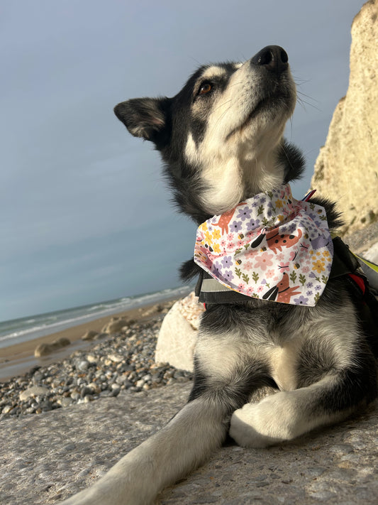 Bandana Printemps 🌸