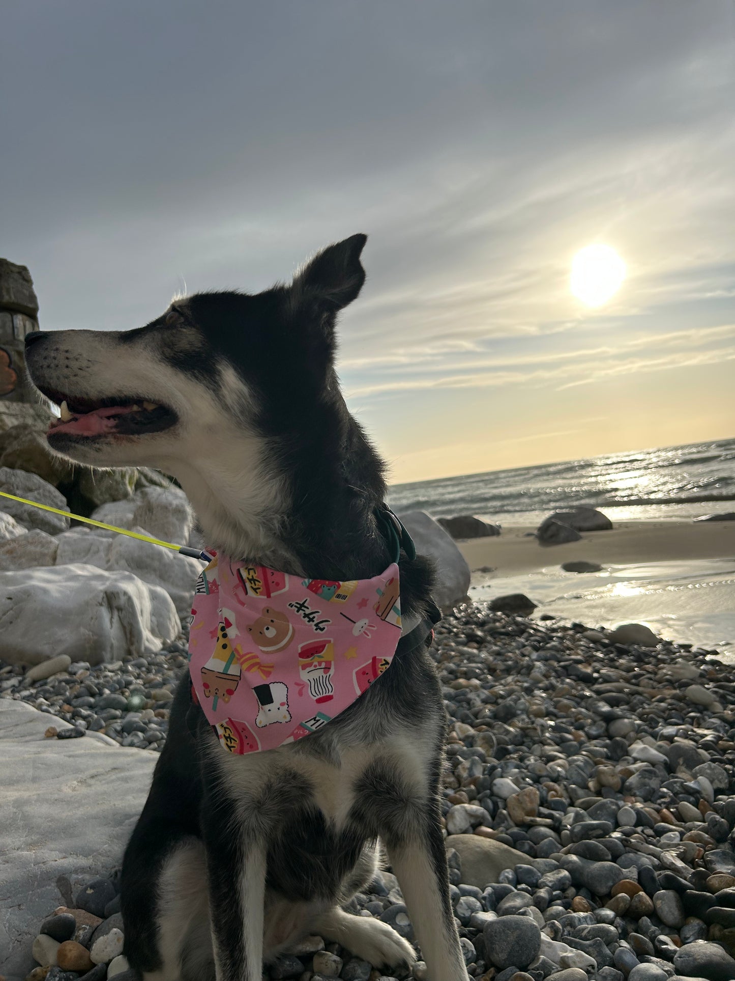 Bandana Bubble Bear đ§ž