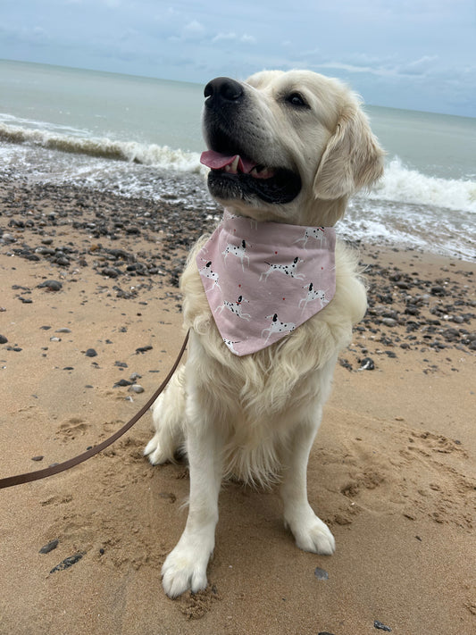 Bandana Dalmatien 🖤