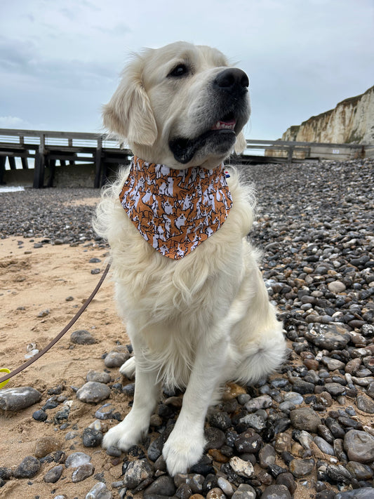 Bandana Corgi 🐶👑