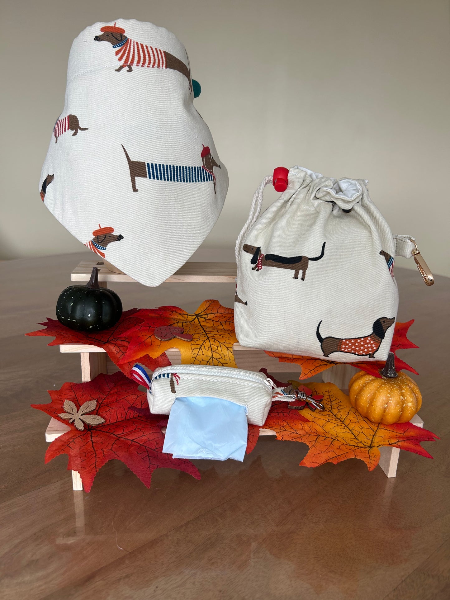 Ensemble Teckel Beige