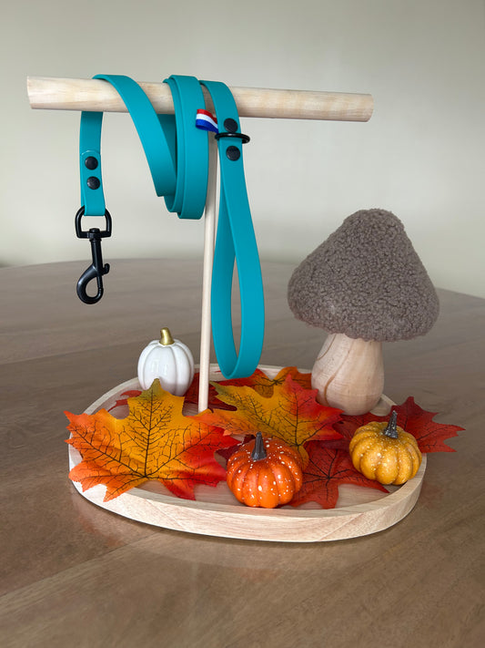 Laisse biothane 120cm 🐱