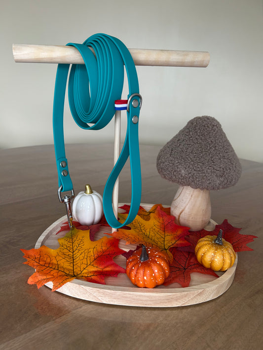 Laisse biothane 220cm 🐱