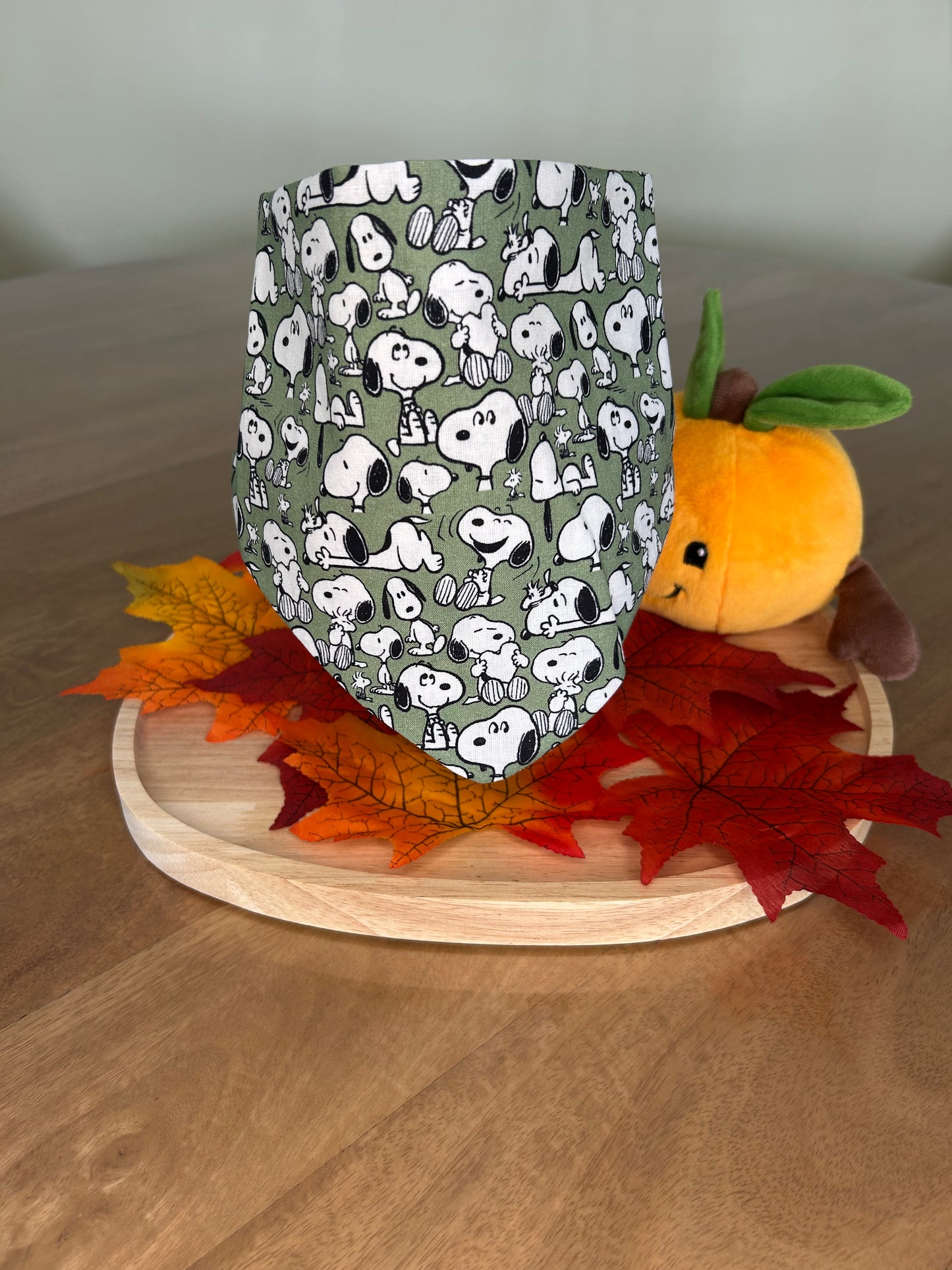 Ensemble Snoopy 🐾