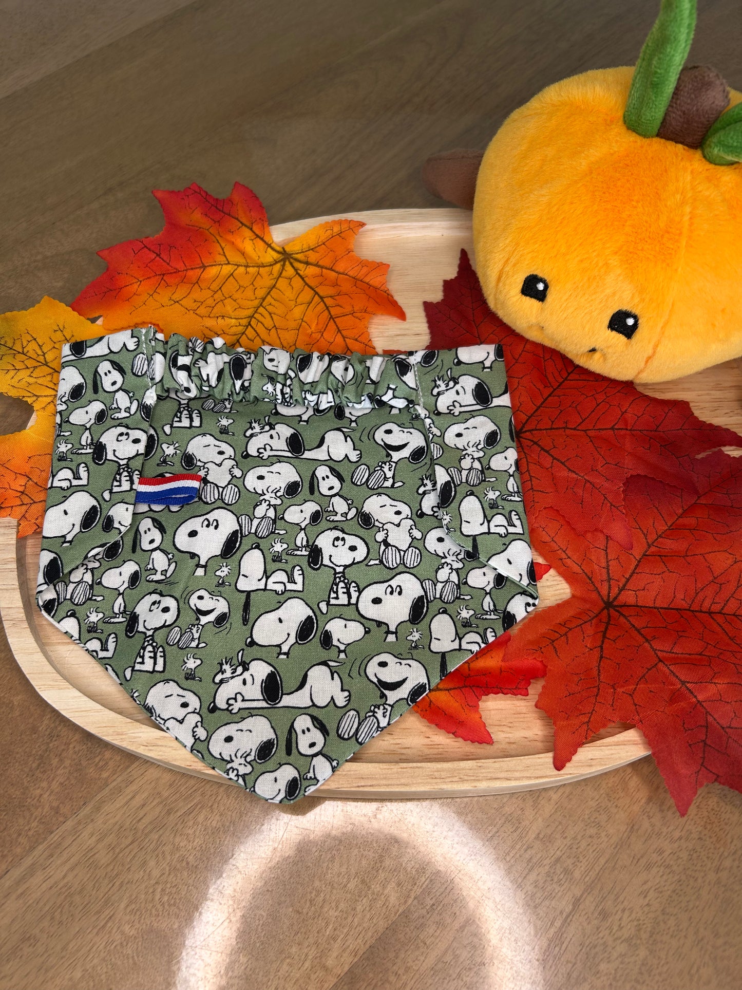 Ensemble Teckel 🐾