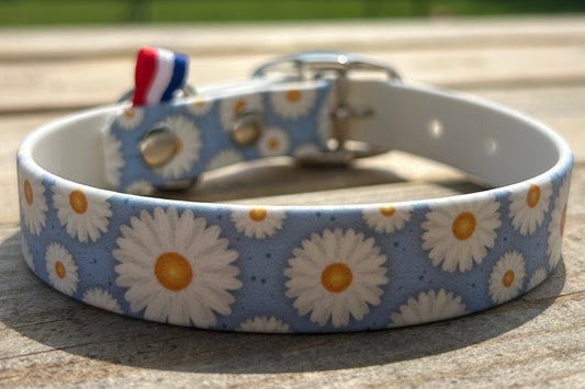 Collier Marguerite 19mm 🌼