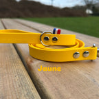 Laisse 120cm Biothane®