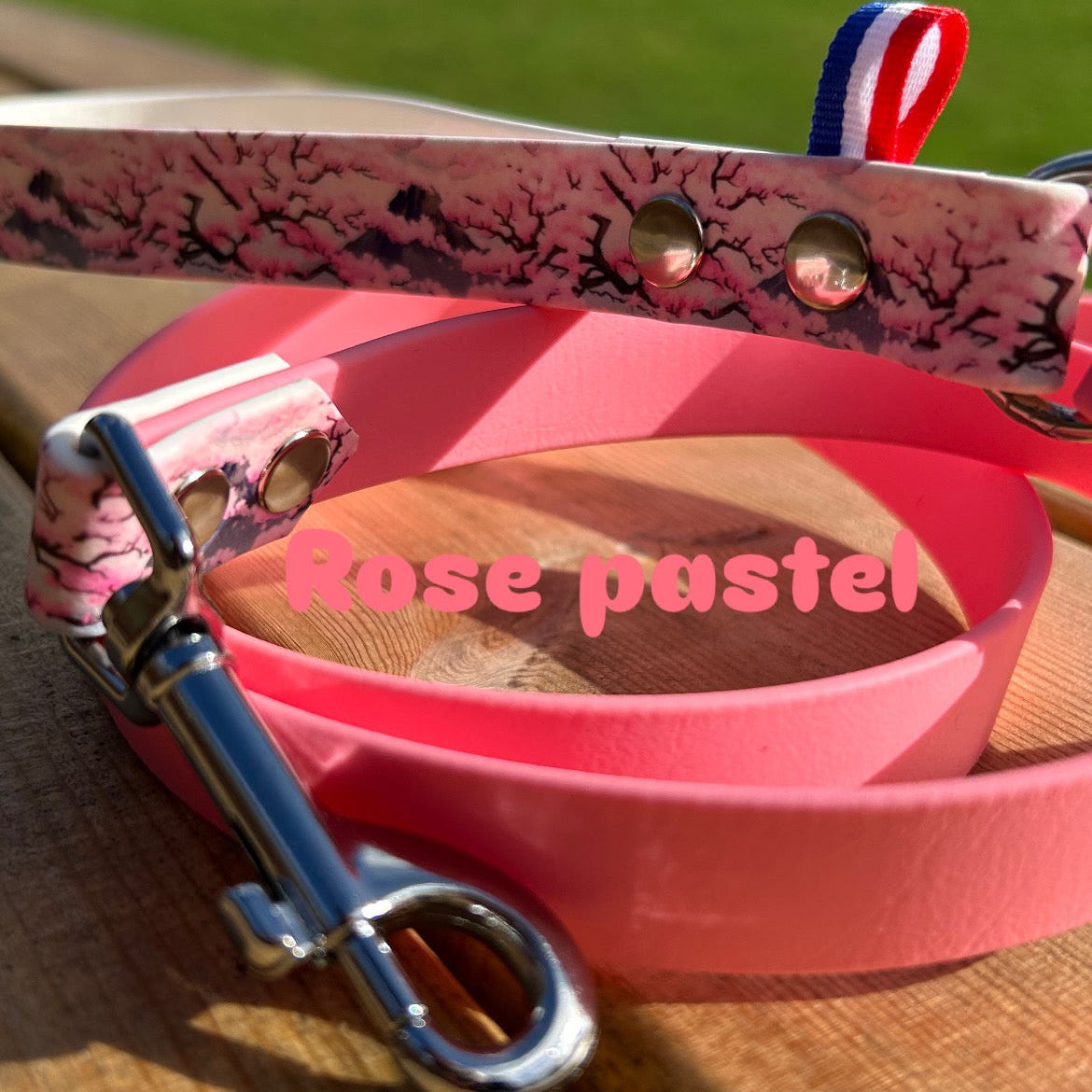 Laisse 1m50 Japonais édition limitée ✨