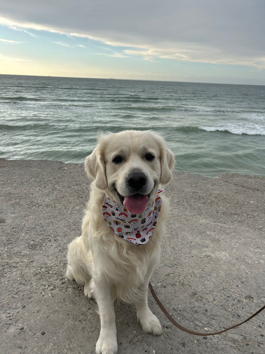 Bandana Sushi