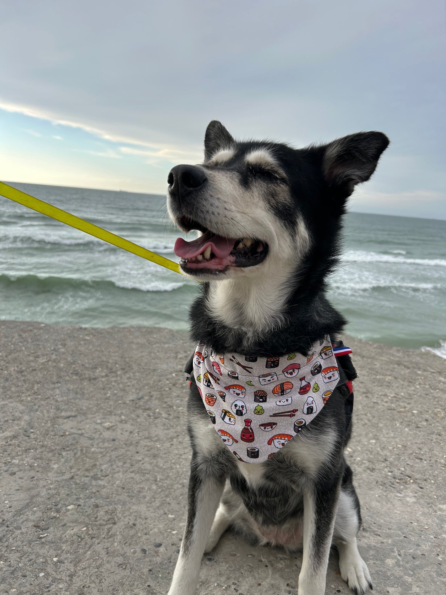 Bandana Sushi