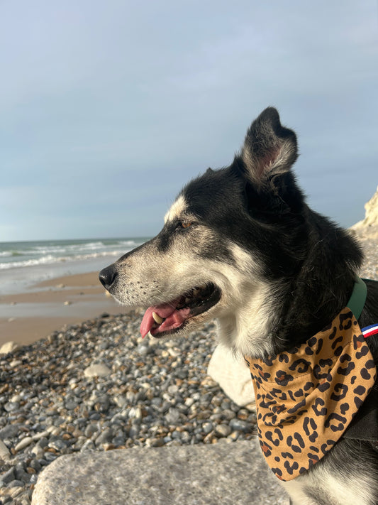 Bandana Léopard