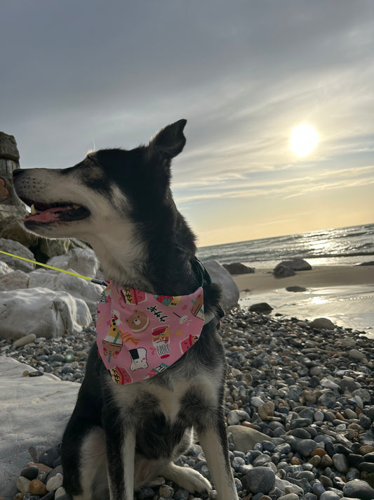 Bandana Bubble Bear