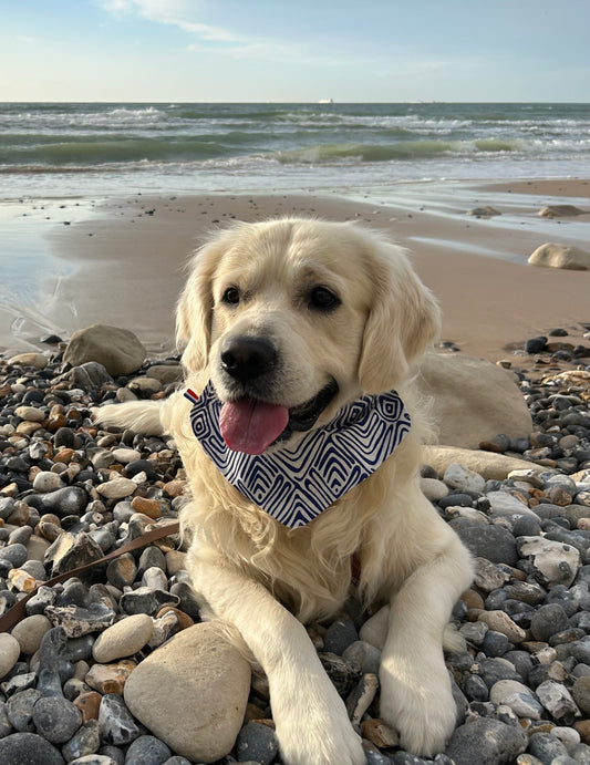 Bandana Tribal