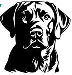 Réserve à Friandises