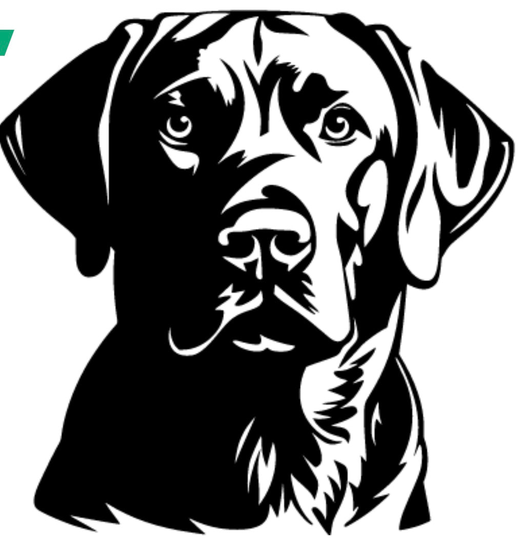 Réserve à Friandises