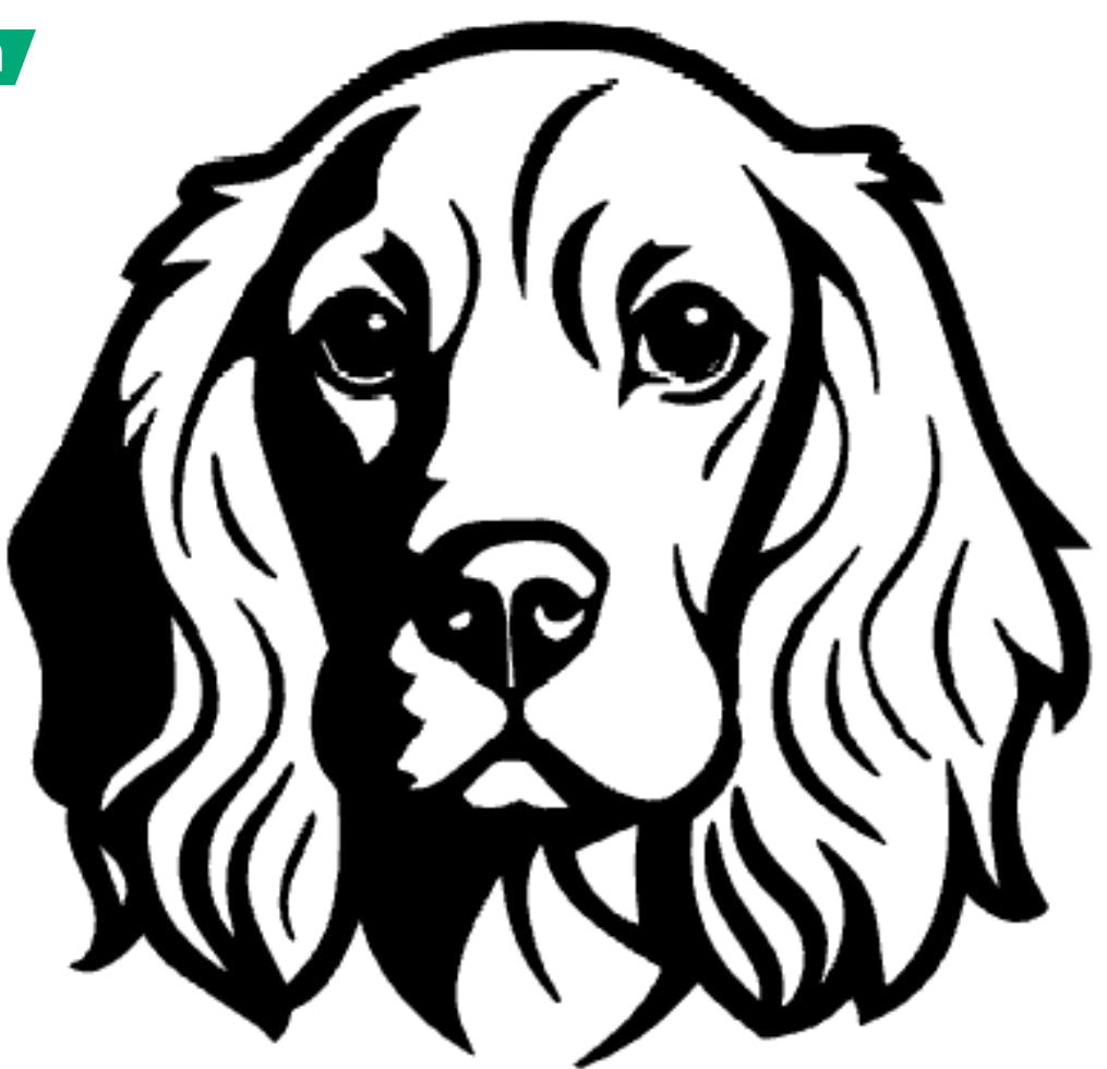 Réserve à Friandises