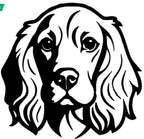 Réserve à Friandises