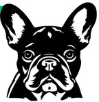 Réserve à Friandises