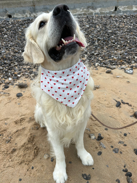 Bandana St Valentine
