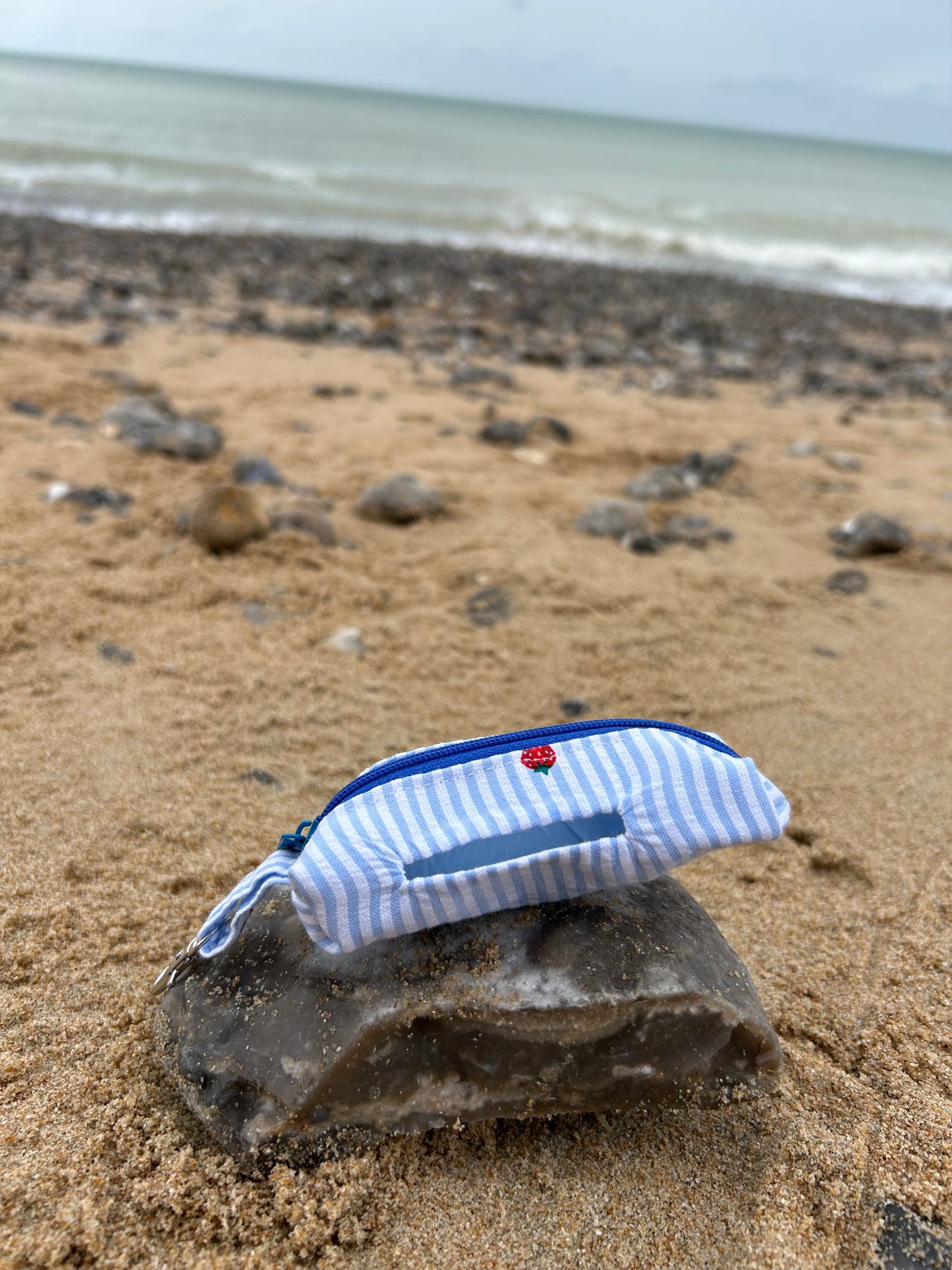 Sac à déjection