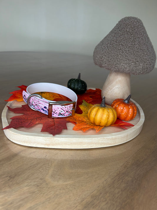 Collier Japonais Edition limité