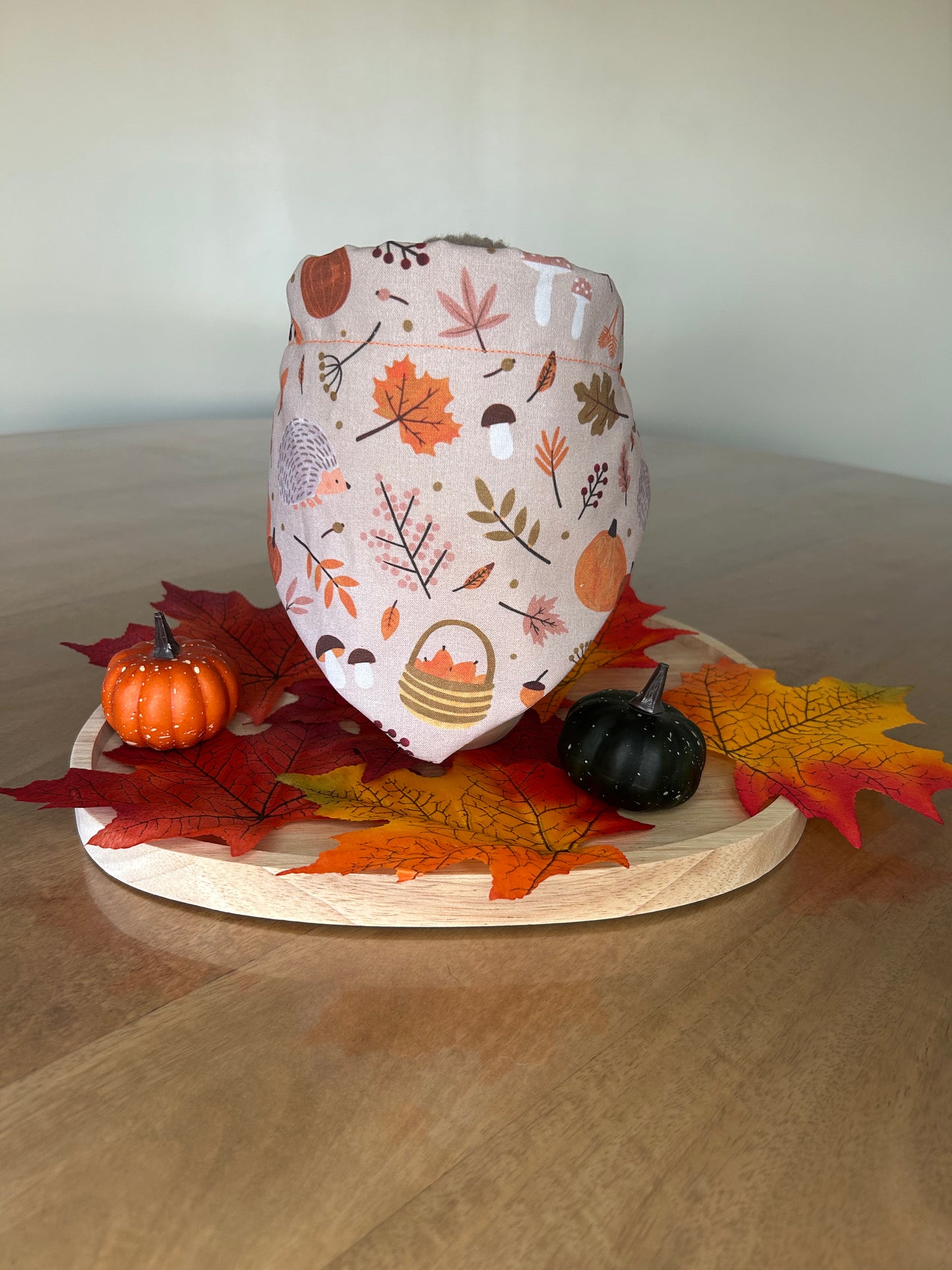 Bandana Automne 🍁