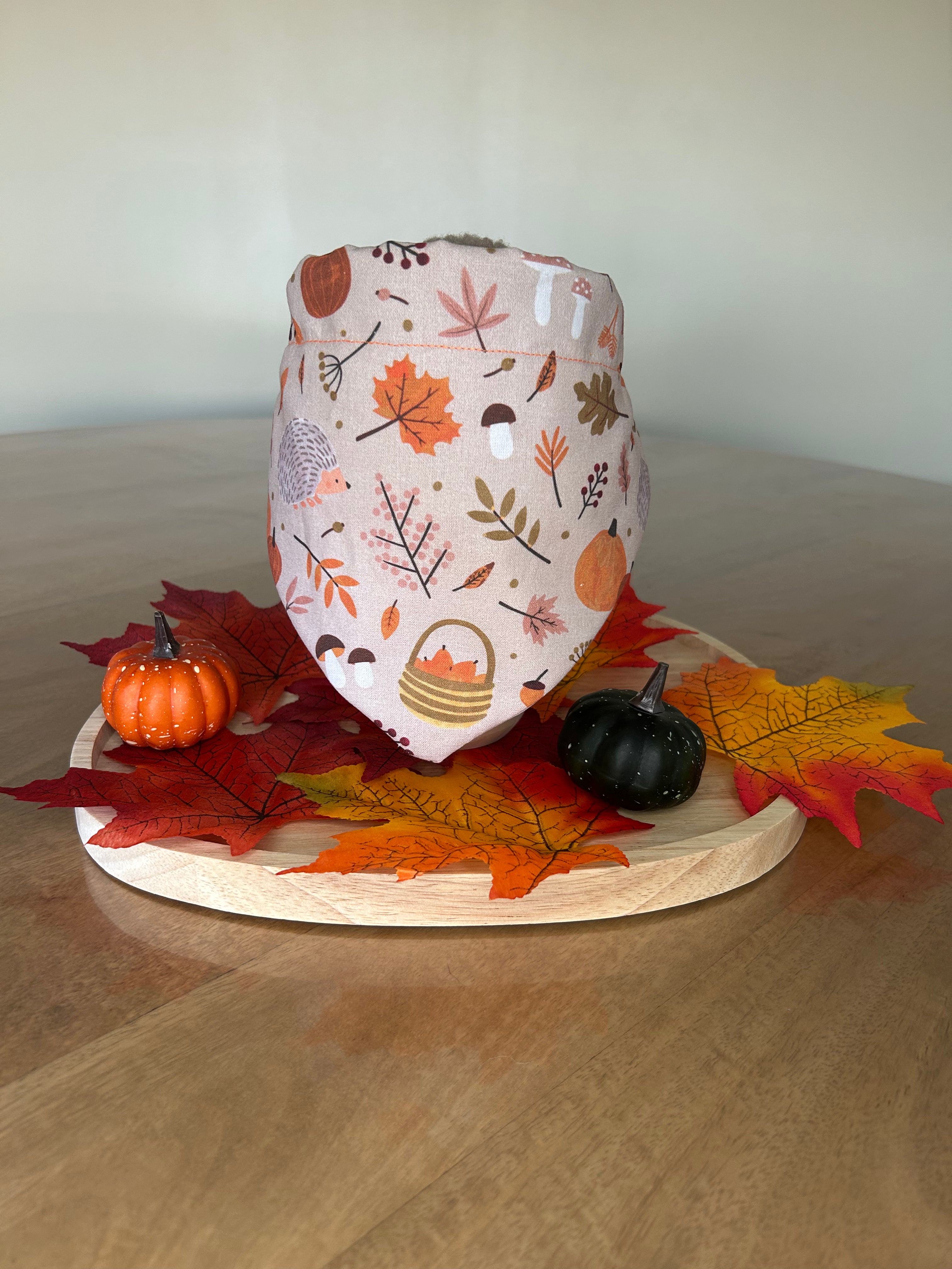 Bandana Automne 🍁