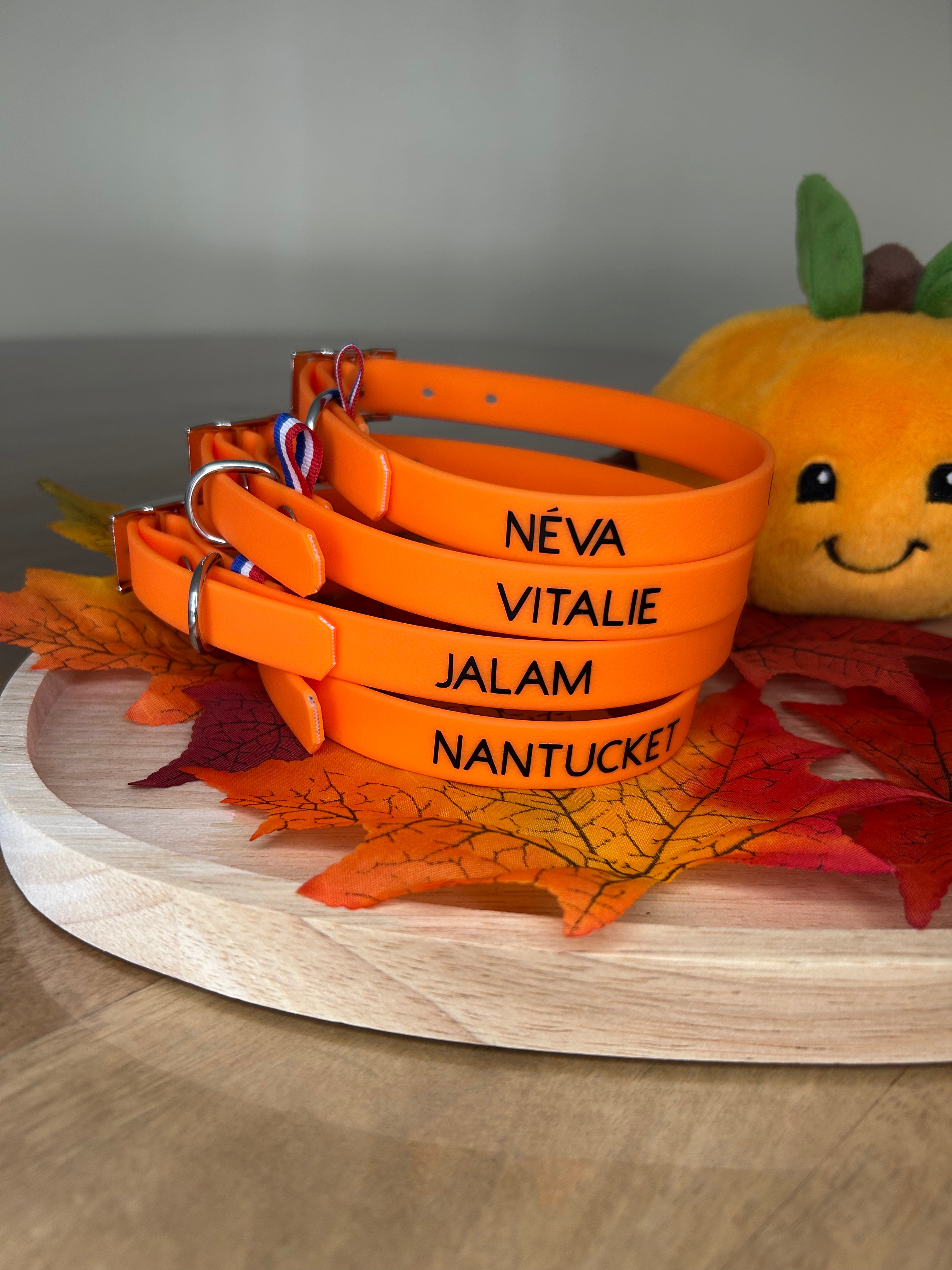 Collier personnalisable ✍️