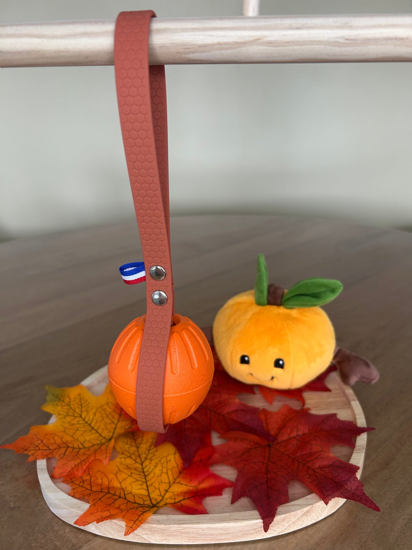 Balle avec poignée intégrée 🎾