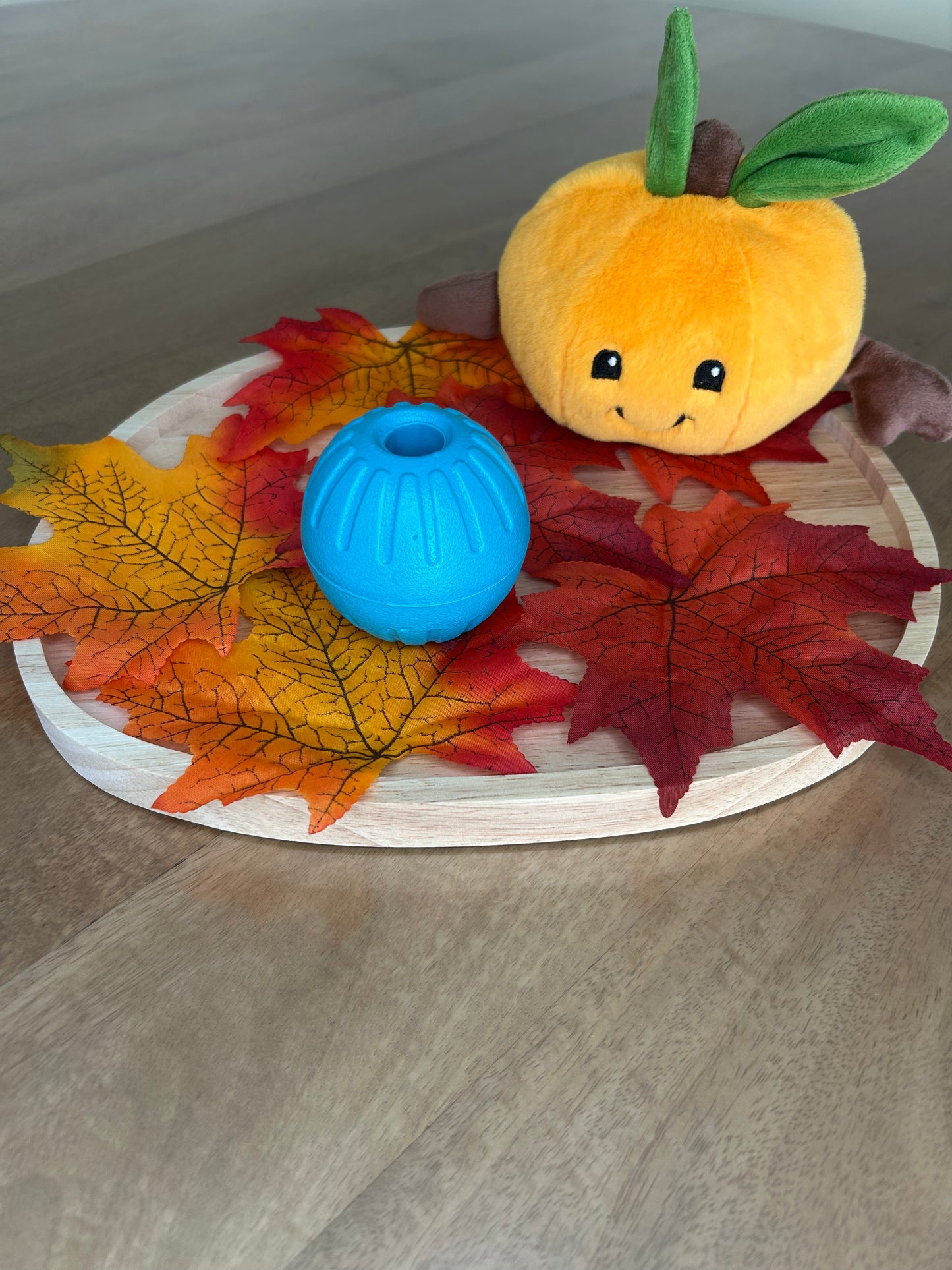 Balle bleu avec poignée 🎾