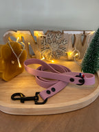 Laisse Hexagonal Lilas