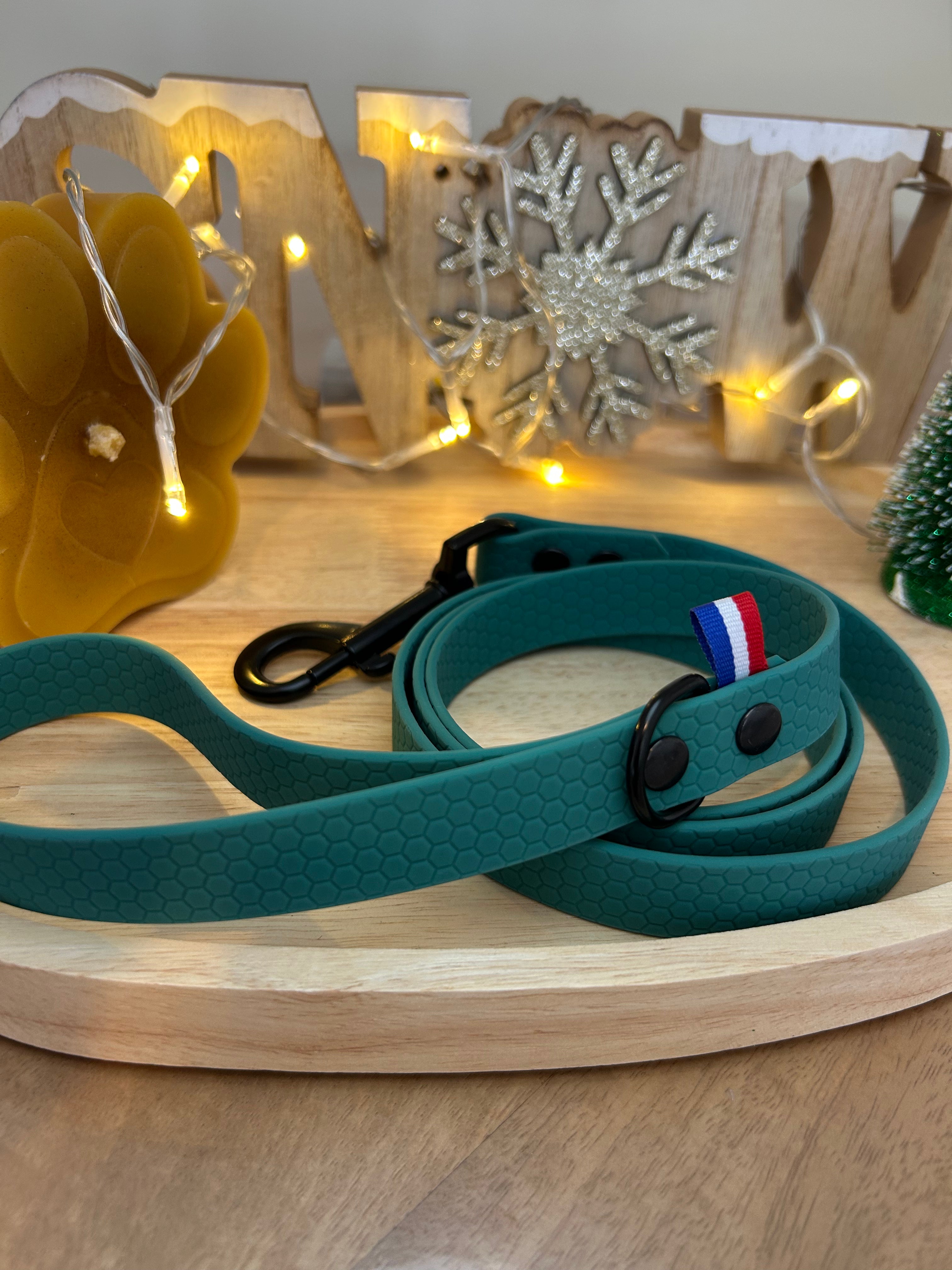 Laisse hexagonal 120cm Vert Crayon