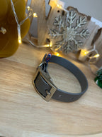 Collier Biothane Argent S