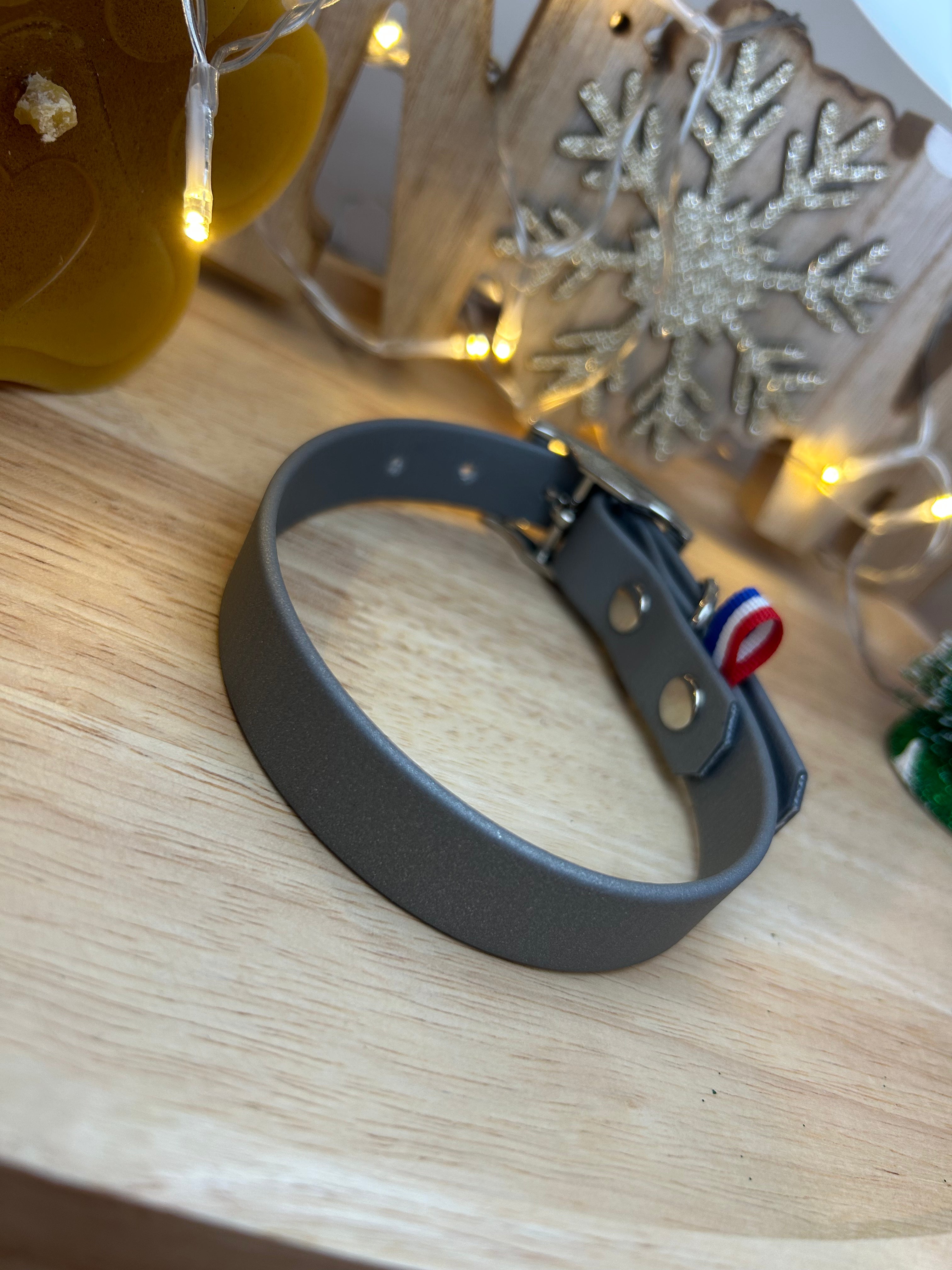 Collier Biothane Argent S