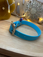 Collier Biothane Skyan Bleu S