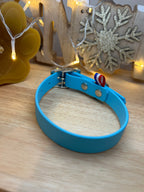 Collier Biothane Skyan Bleu S