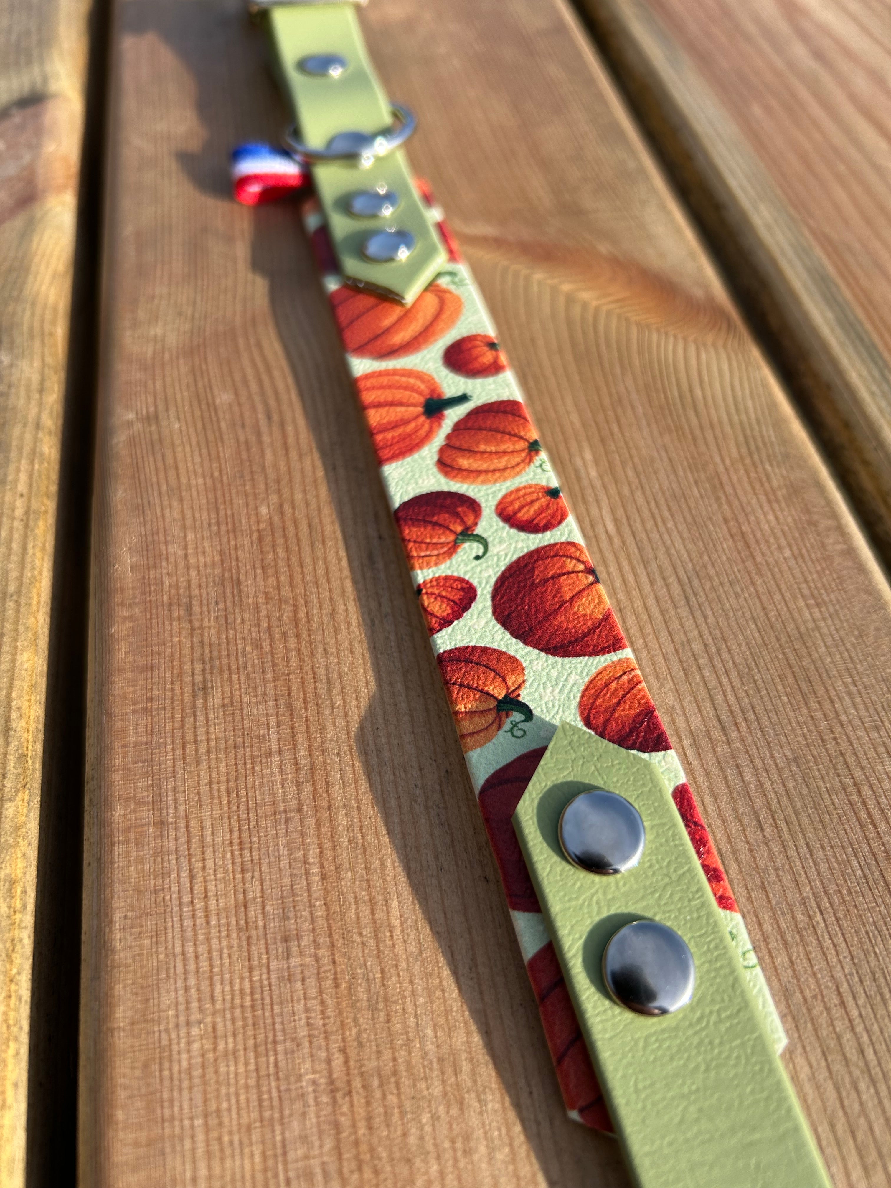 Collier Bicolore Citrouille S