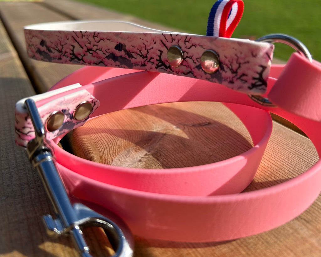 Laisse 1m50 Japonais édition limitée ✨