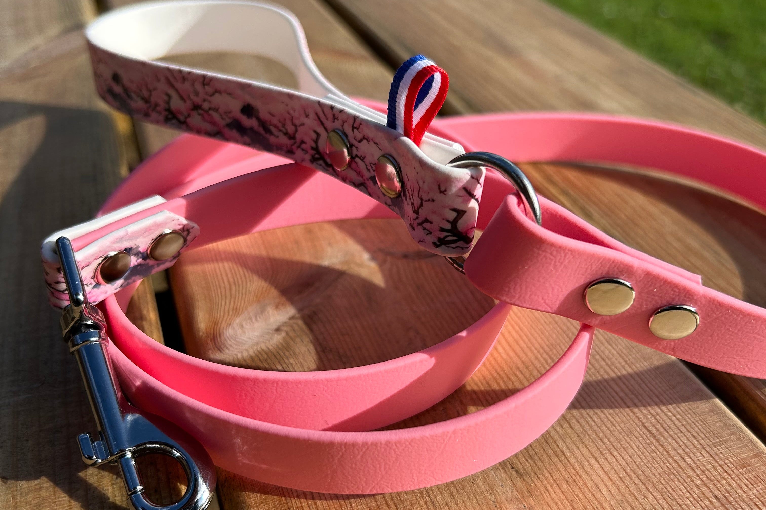 Laisse 1m50 Japonais édition limitée ✨