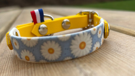 Collier Marguerite et Jaune 🌼💛