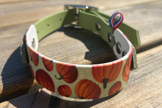 Collier bicolore citrouille